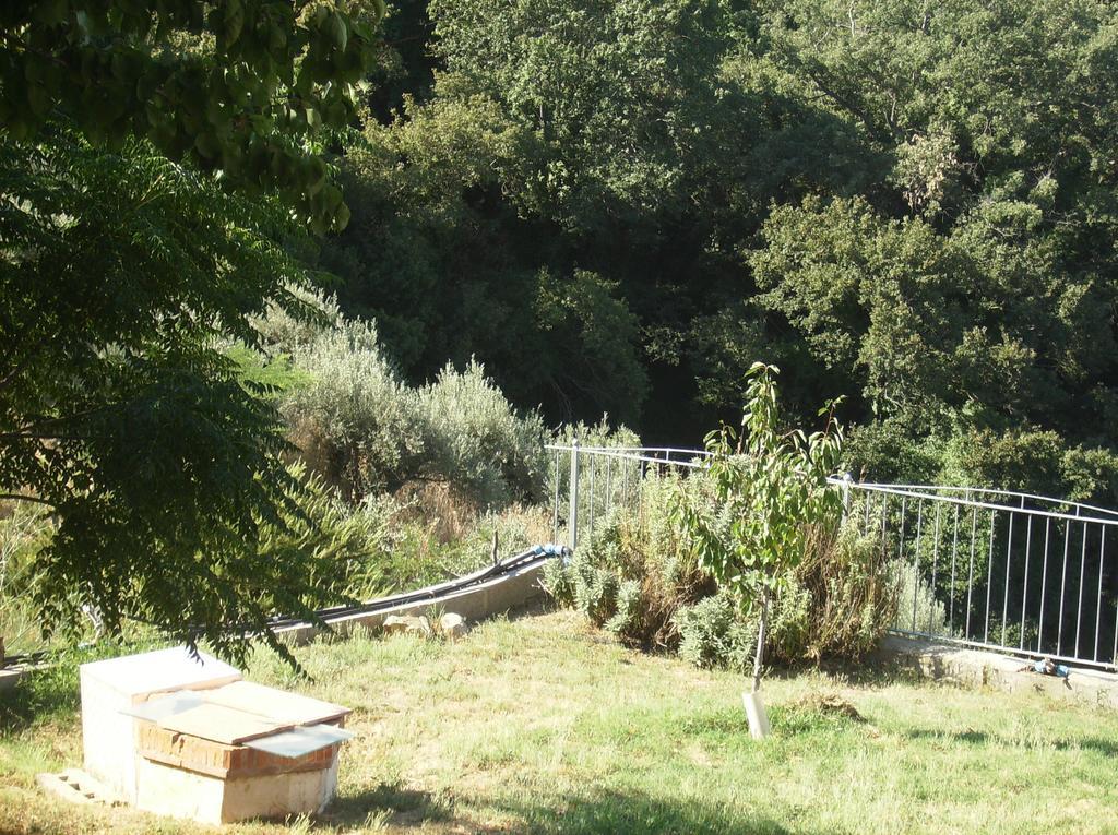 Maremma Verde Montorgiali Room photo
